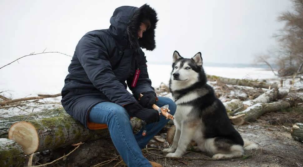 Watch Limited Edition